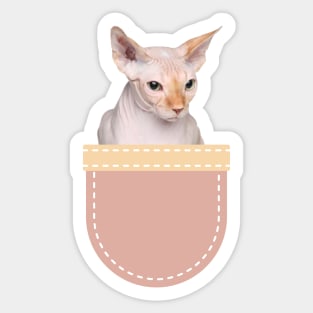 Sphynx Cat in Pocket Sticker